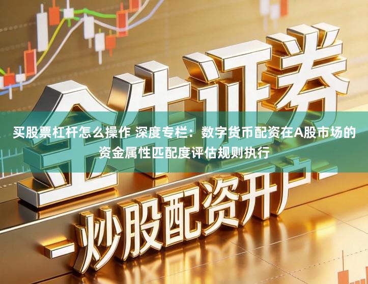 买股票杠杆怎么操作 深度专栏：数字货币配资在A股市场的资金属性匹配度评估规则执行