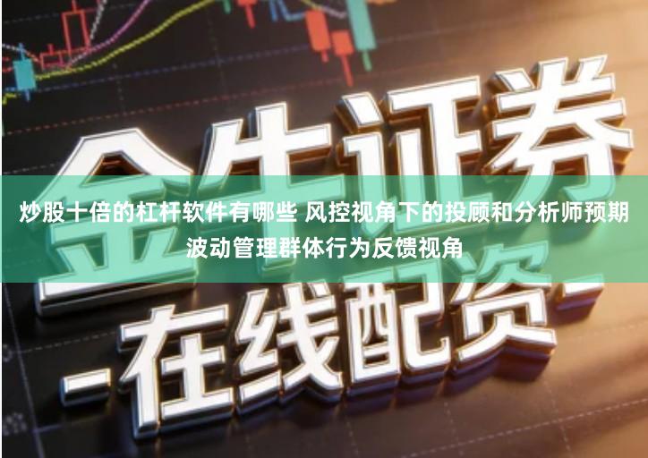 炒股十倍的杠杆软件有哪些 风控视角下的投顾和分析师预期波动管理群体行为反馈视角