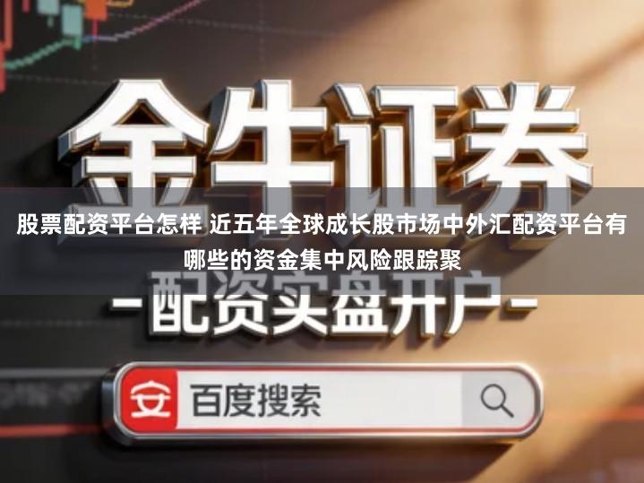 股票配资平台怎样 近五年全球成长股市场中外汇配资平台有哪些的资金集中风险跟踪聚